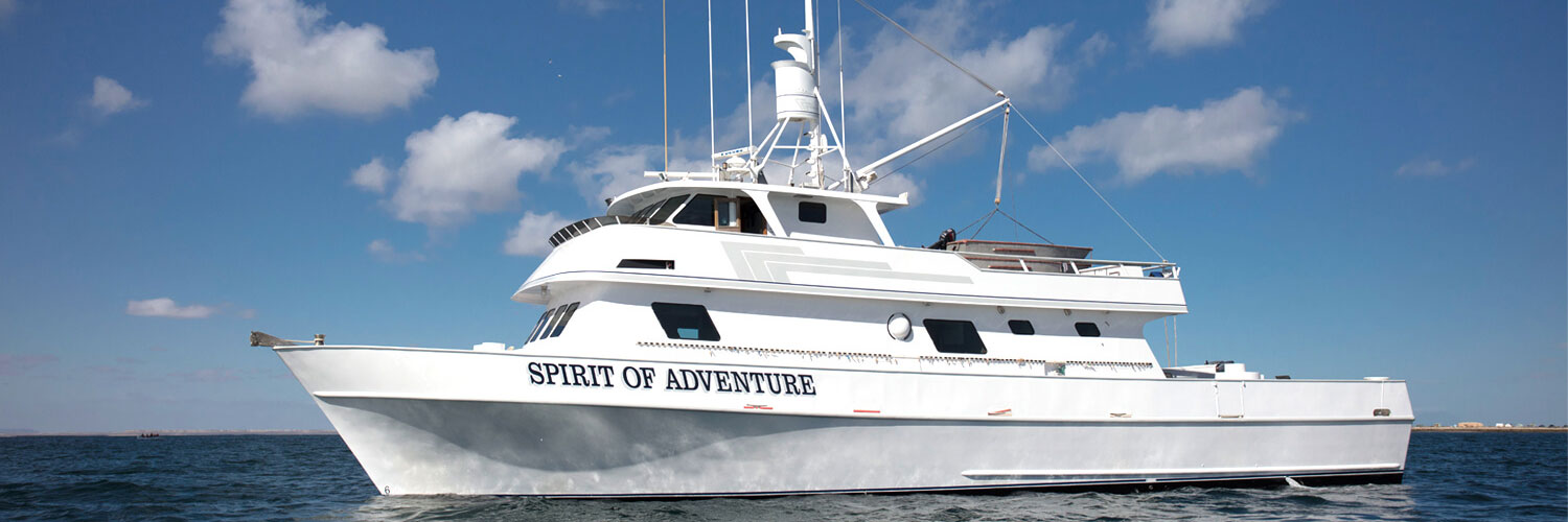 Contact Us, Spirit of Adventure