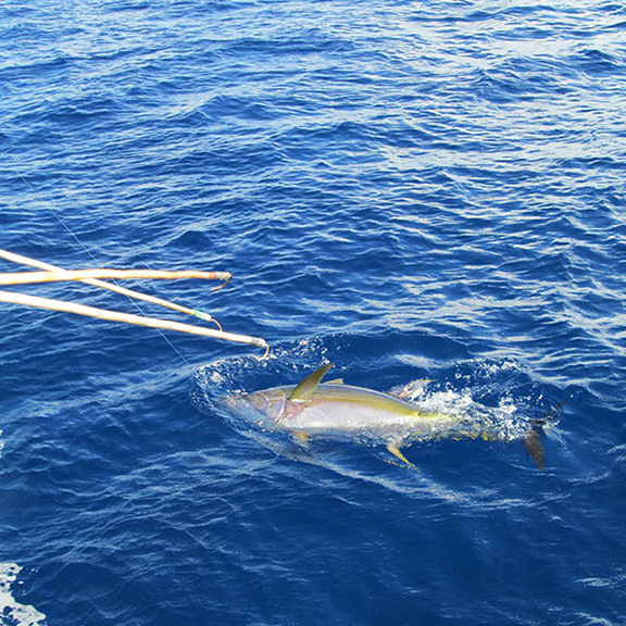 Fishing Trip, Image 2
