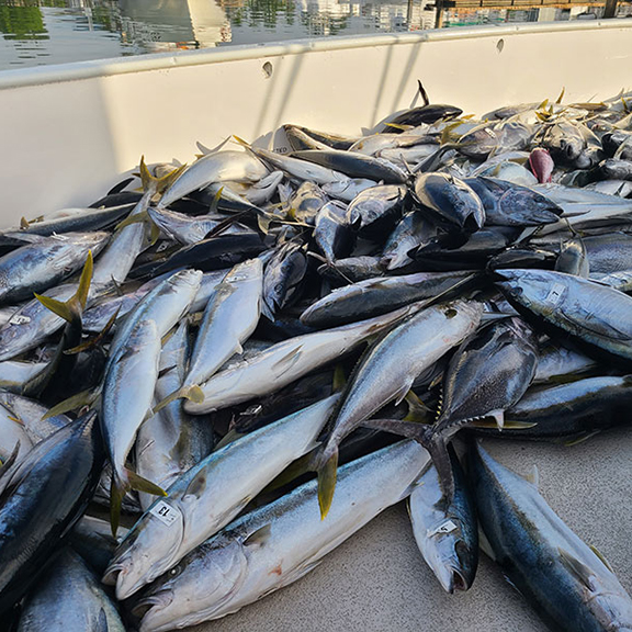Fishing Trip, Image 3