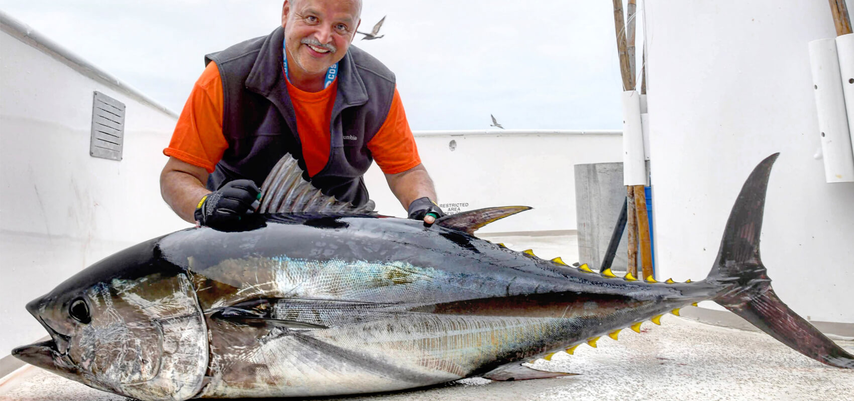 Sportfishing Catch